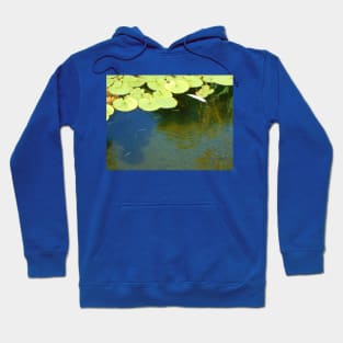 Tadpoles Hoodie